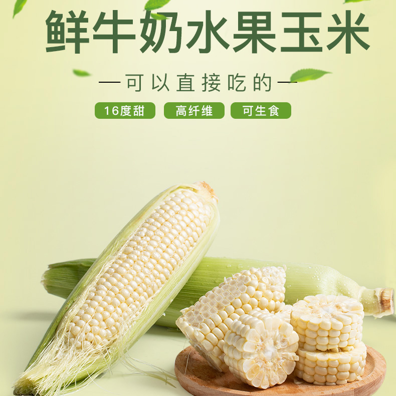 福建漳州爆浆牛奶水果玉米新鲜整箱净重4斤