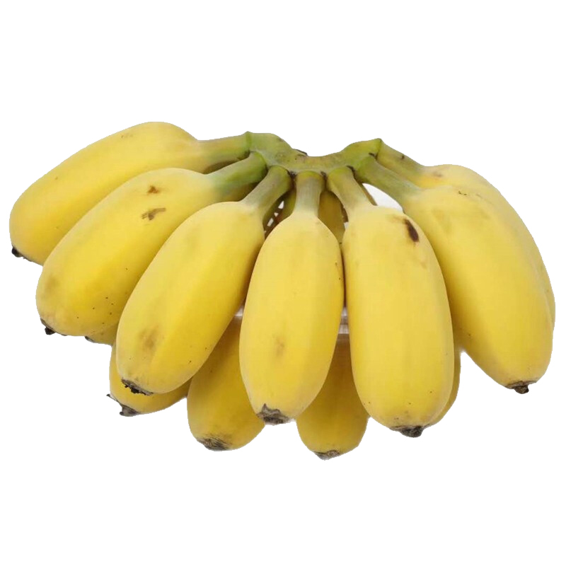 新鲜水果苹果香蕉粉蕉4.5斤左右