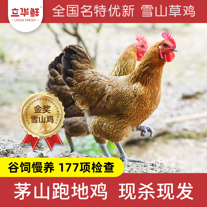 【立华股份】雪山鸡现杀冷鲜整鸡老母鸡煲汤1100g
