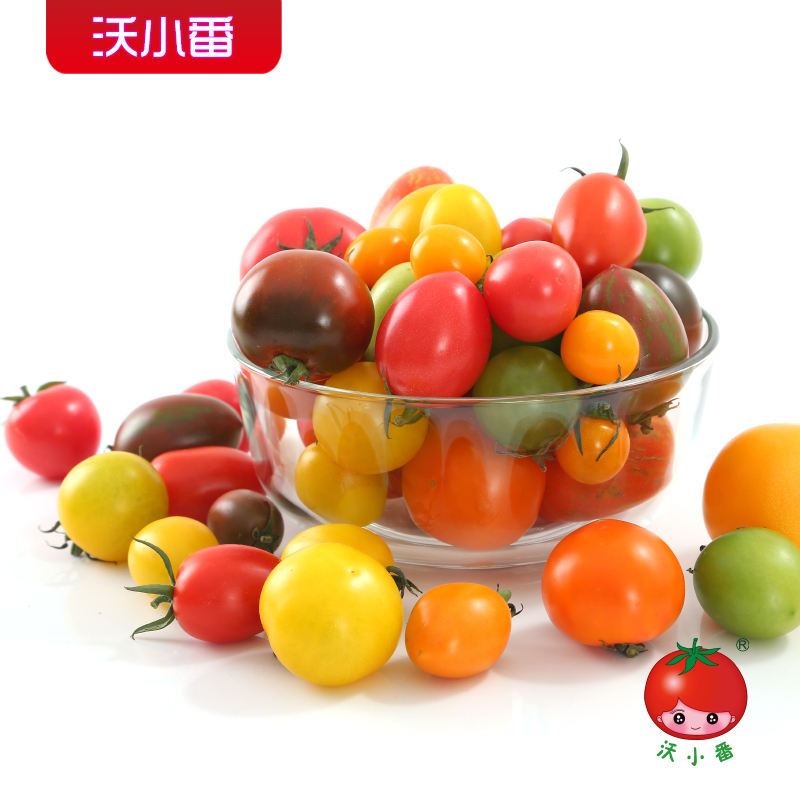 【沃小番】新鲜多彩小番茄自然熟4.5斤